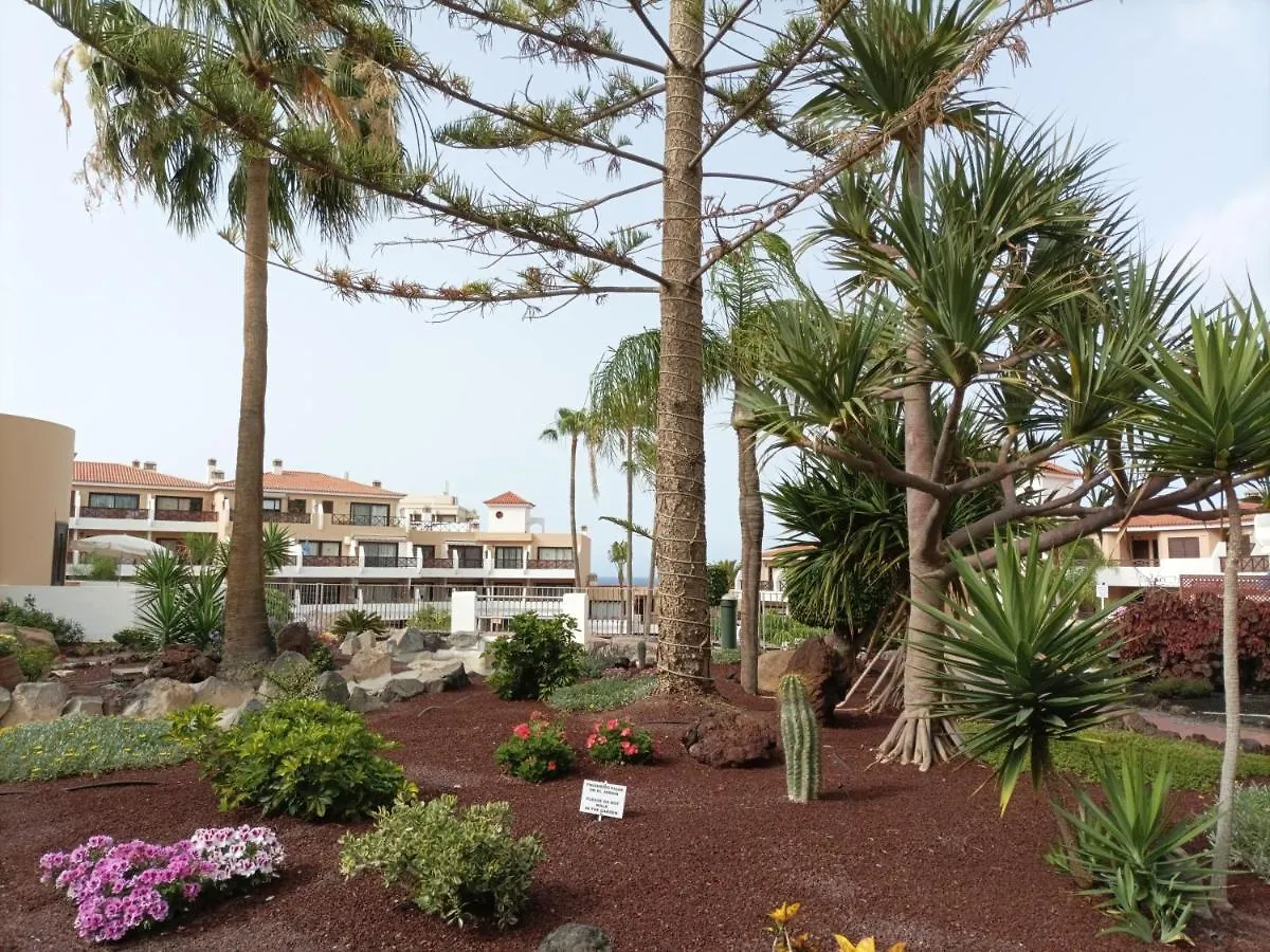 Estudio En Tenerife Con Piscina / Study Flat With Pool Apartment San Miguel de Abona